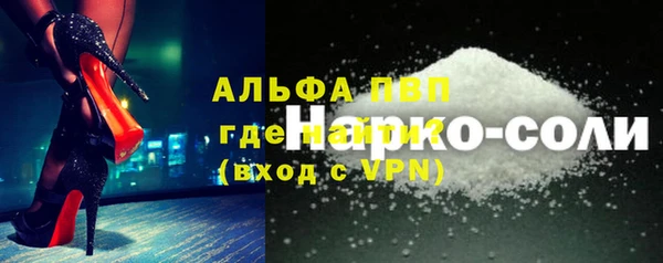 ПСИЛОЦИБИНОВЫЕ ГРИБЫ Горно-Алтайск