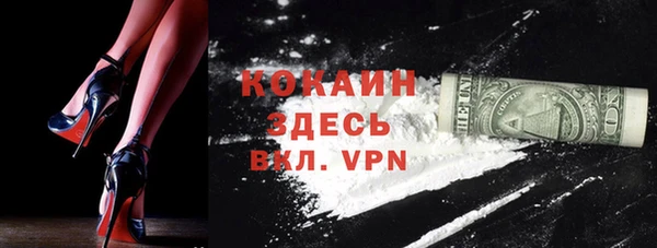 гашик Гусев