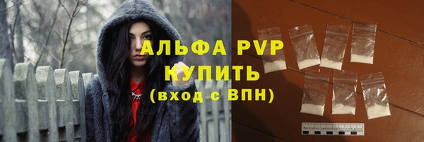 ПСИЛОЦИБИНОВЫЕ ГРИБЫ Горно-Алтайск