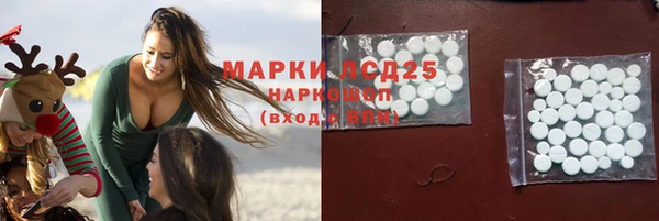 ПСИЛОЦИБИНОВЫЕ ГРИБЫ Горно-Алтайск