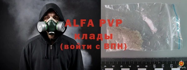 ПСИЛОЦИБИНОВЫЕ ГРИБЫ Горно-Алтайск