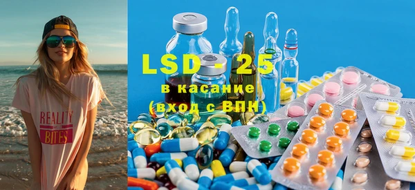 ПСИЛОЦИБИНОВЫЕ ГРИБЫ Горно-Алтайск