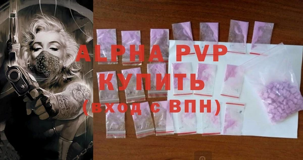 ПСИЛОЦИБИНОВЫЕ ГРИБЫ Горно-Алтайск