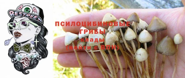 кокаин премиум Гусь-Хрустальный